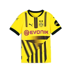 Borussia Dortmund Fourth Replica Personalised Adult Shirt or Kids kit