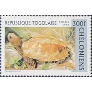 1996                 300 Fr