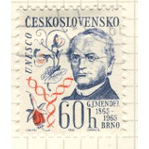1965 Czechoslovakia 60 h