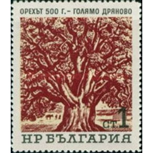 1964 1 ct