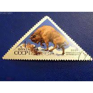 1973  Russia  1 K  Used