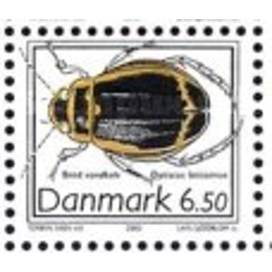 2003  6.50 kr