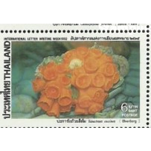 1992 Thailand 6 B used