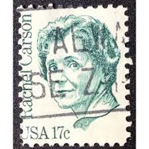 1981  USA  17 cents  used