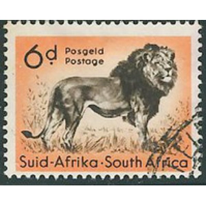 1954      6 D   USED