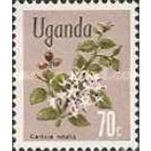 1969              70 c