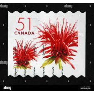 Canada     2006     51 Cents  USED