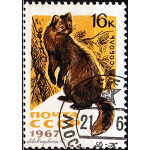 1967  Russia    16 K  used
