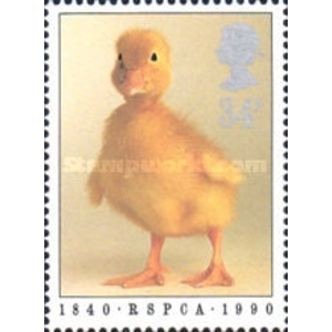 1990  Great Britain 34 p