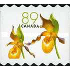 Canada     2005     89 Cents   USED