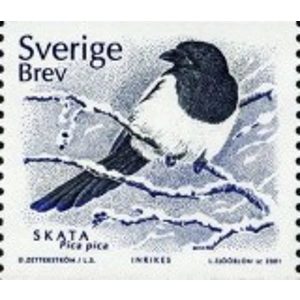 2001   brev