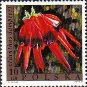 1968 10 gr