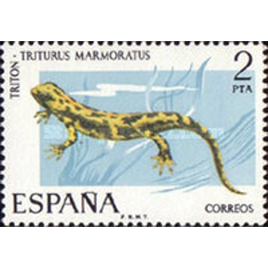 1975   2 pta   MNH