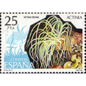 1979   25  pts   MNH