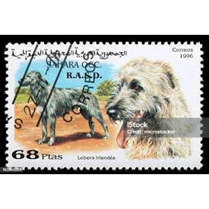 1996   68 ptas  used