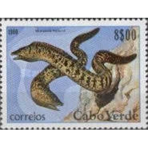 1980   8.00 e   used