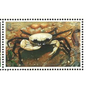 1994 6 b crabs used