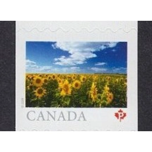 2024   P  used  COIL