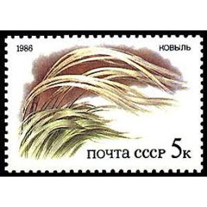 1986   5 k