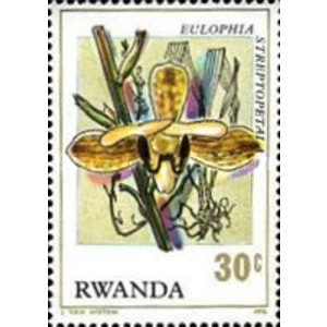 1976 30 C MNH