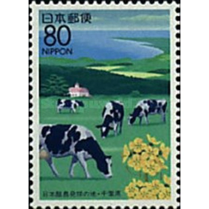 1995   80  yen   used