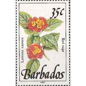 1992   35 cents  used