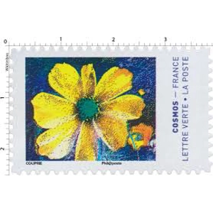 2020 Colors of the Cosmos used