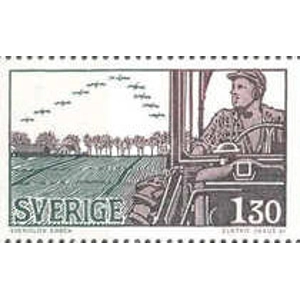 1979   130 ore  used