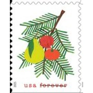 2025  Forever   used