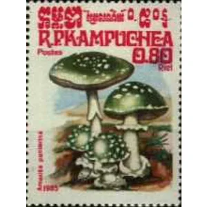 1985