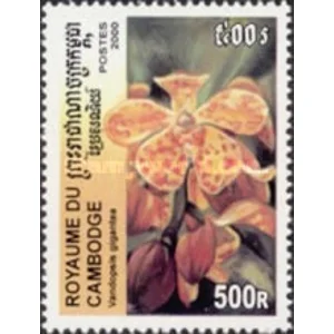 2000