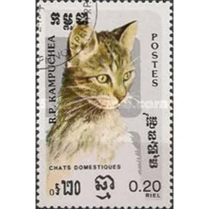 1985