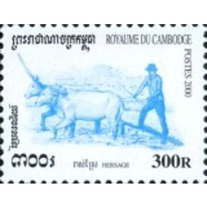 2000