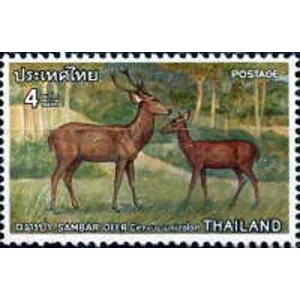 1976