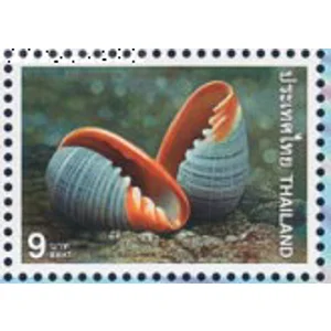 1997