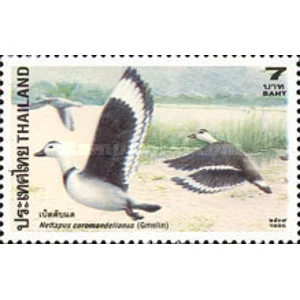 1996