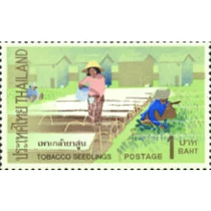 1971