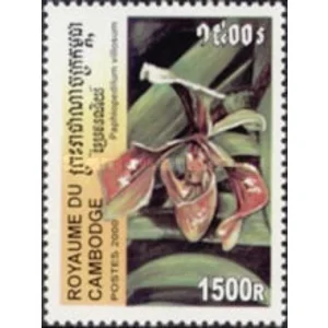 2000