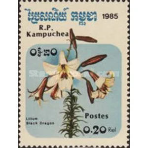 1985