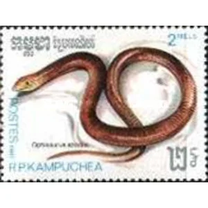 1987
