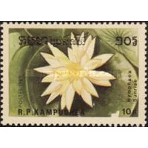 1989