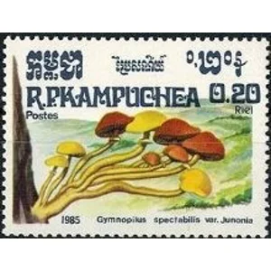 1985