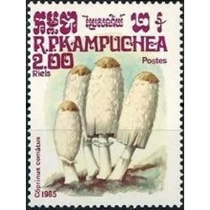 1985