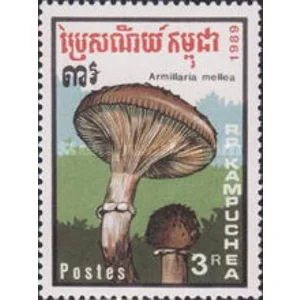 1989