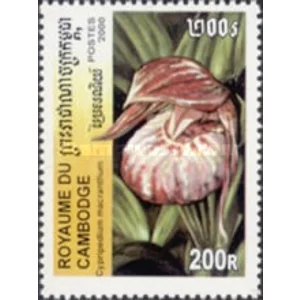 2000