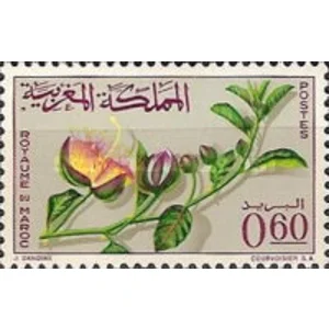 1965