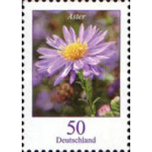 2005