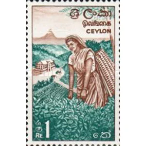 1964