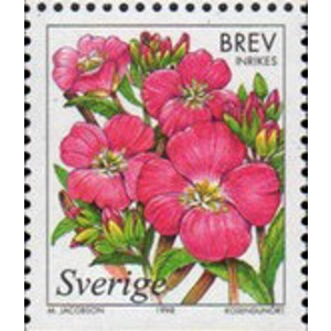 1998   Brev