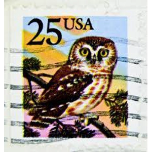 1988  USA    25 C   USED